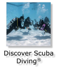 Discover Scuba Diving®